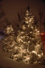 DSC_9485.jpg