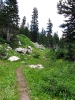 IMG_0445.jpg