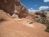 Filename=grand-canyon-200705-10500.jpg
Filesize=450KB
Dimensions=800x600
Date added=May 15, 2007 grand-canyon-200705-10500.jpg