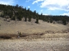 ct-epic-20080510-1112.jpg