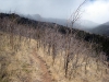 ct-epic-20080510-1130_.jpg