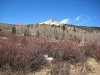 ct-epic-20080510-1214.jpg