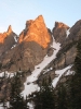 dragonstail-20080616-11100.jpg