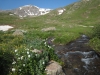 IMG_5884.jpg