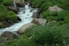 Filename=DSC_1117.jpg
Filesize=470KB
Dimensions=800x532
Date added=Jul 28, 2008 DSC_1117.jpg