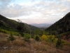 IMG_6200.jpg