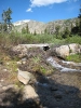 IMG_5961.jpg