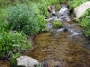 IMG_6033.jpg