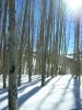 DSCN0610.jpg