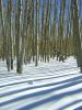 DSCN0611.jpg